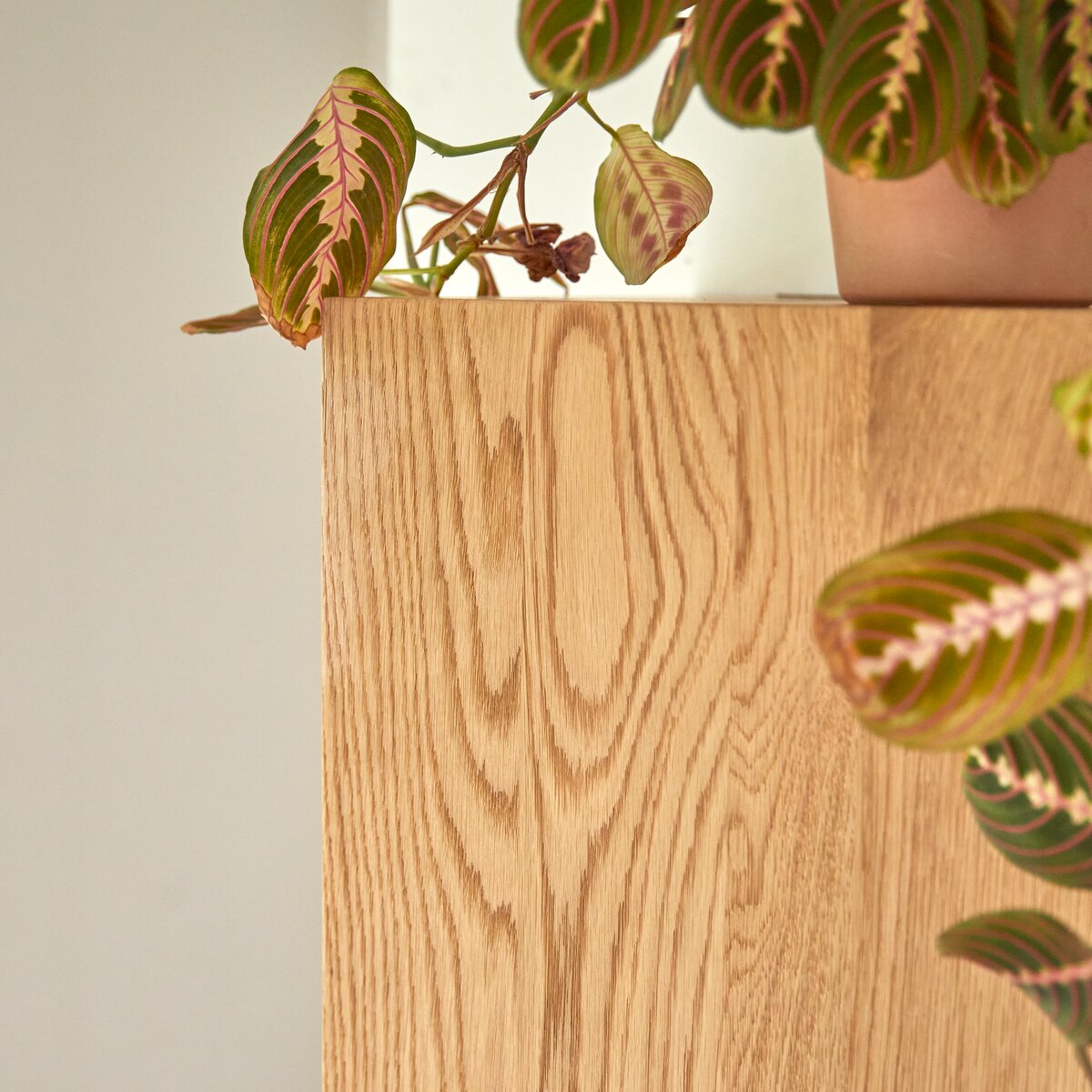 Easy - Columna en roble macizo Easy - Columna en roble macizo